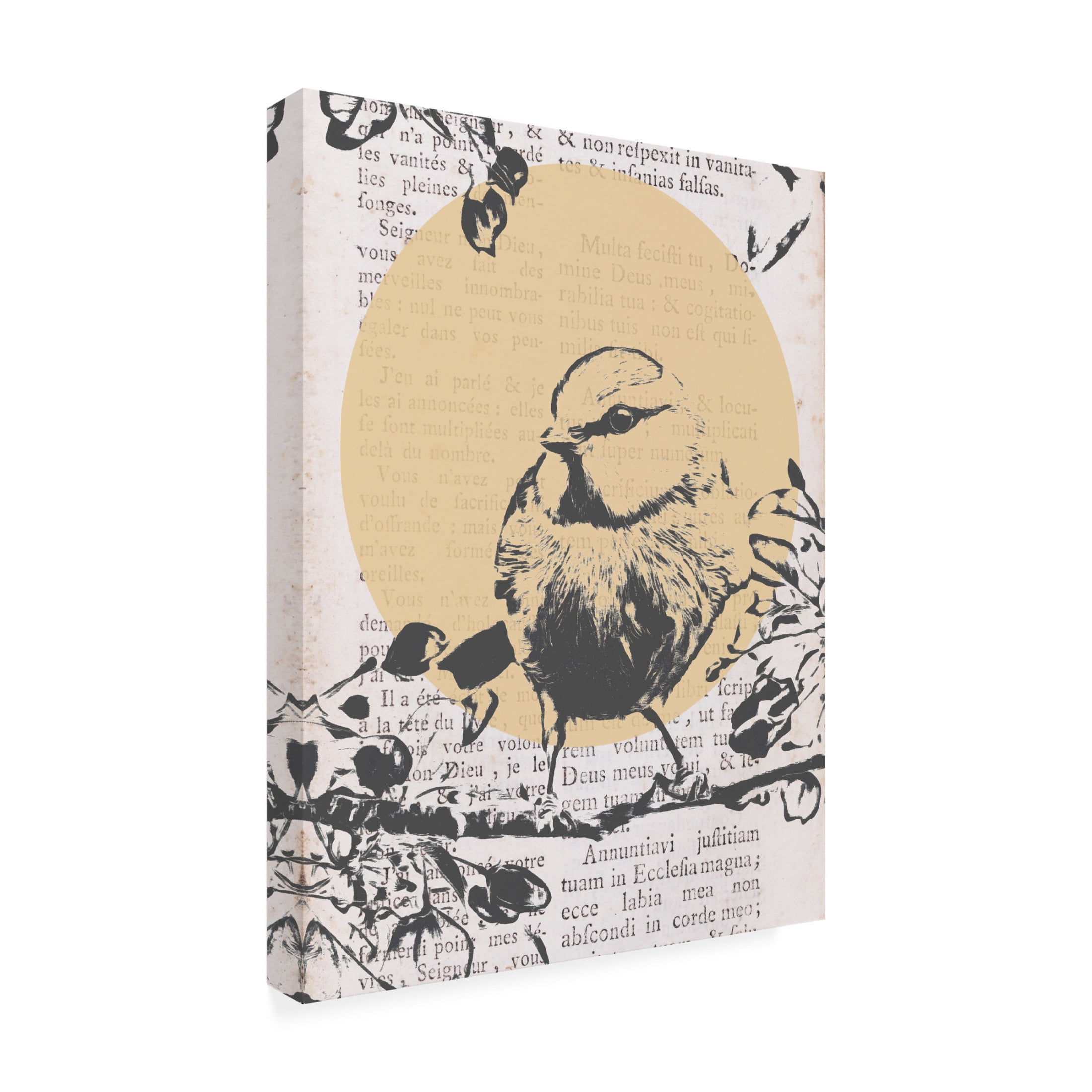 Trademark Fine Art Alonzo Saunders Tweet Tweet I Canvas Wall Art