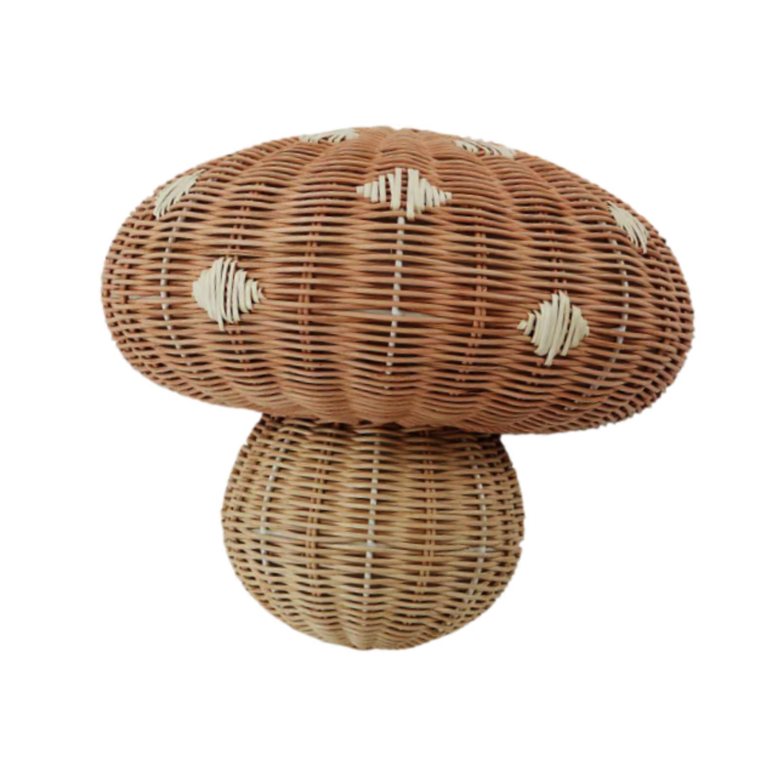 Bothyi Wall Hanging Lamp Shade Handwoven Lampshade Shaped Boho Retro Lamp Bulb
