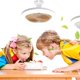 thumbnail image 4 of RKSTN portable fan Ceiling Fan With Lights, Enclosed Low Fan Light, Ceiling Light With Fan, Hidden Fan With E27 Lamp, 4 of 5