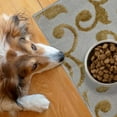 thumbnail image 1 of SussexHome Pets Cat and Dog Litter Mat for Litter Box - Washable Soft Cat and Dog Feeding Mat - Paws-Kind Slip Resistant Place Mat - 2' x 3', 1 of 6