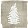 thumbnail image 3 of Brown, Denise 15x15 Black Modern Framed Museum Art Print Titled - Natures Fern 1, 3 of 5