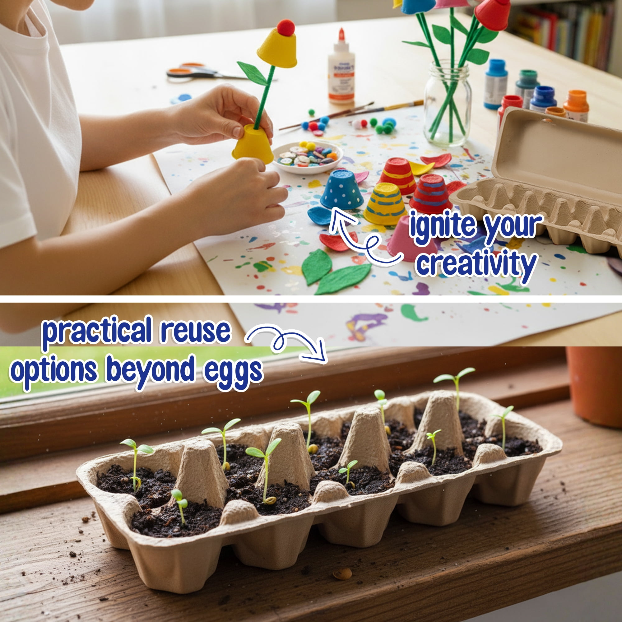 MT Products Brown Egg Cartons 12 Count Egg Container - Perfect for Chicken Farm (Pack of 20) - Made in USA