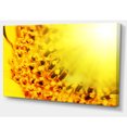 thumbnail image 2 of Tournesol Jaune Vif Gros Plan - Impression sur Toile Florale, 2 of 3