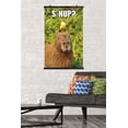 thumbnail image 2 of Capybara - S' Hup Wall Poster, 22.375" x 34", 2 of 5