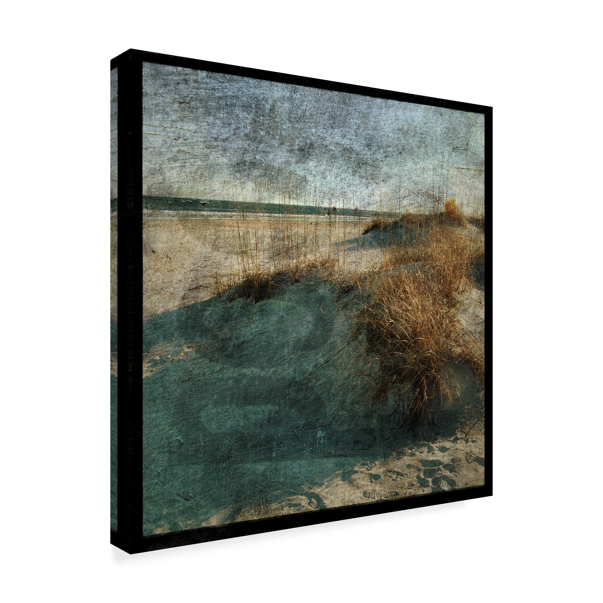 Trademark Fine Art 'Wrightsville Dunes' Canvas Art by John W. Golden