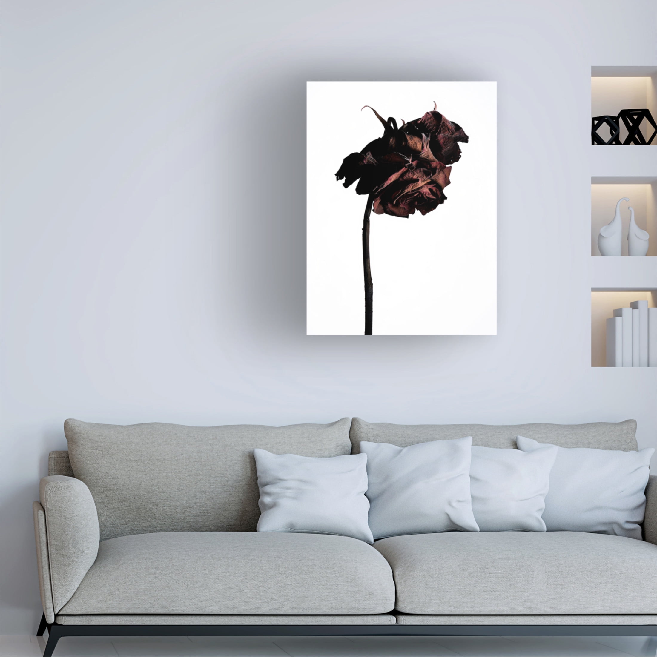 Trademark Fine Art Shiro Miyake  dried flower Canvas Wall Art