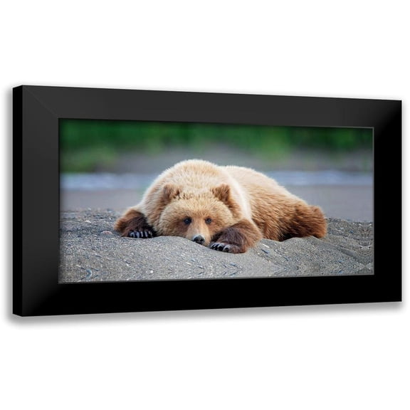 PHBurchettÂ  14x9 Black Modern Framed Museum Art Print Titled - Custom Bear Life X
