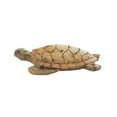 thumbnail image 6 of 11" x 3" Brown Polystone Turtle Sculpture, by DecMode, 6 of 8