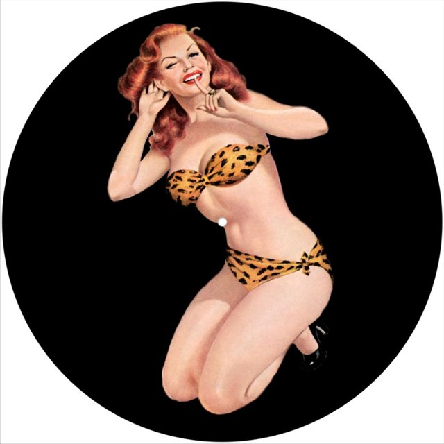 Tapis de Protection Anti-Rayures en Feutre pour Tout Tourne-Disque LP DJ 12 Pouces Tourne-Disque Personnalisé Graphique - Pin-Up Léopard Costume Swin Écoute