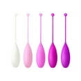 thumbnail image 1 of Kegel Pelvic Floor Muscle Dumbbell Exerciser Vaginal Buttocks Postpartum, 1 of 7