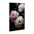 thumbnail image 2 of Stupell Industries French Country Soft Pink Peony Garden Canvas Art, 30 x 45, by Petals Prints Design, 2 of 8