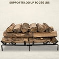 View all media