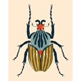 thumbnail image 2 of Barnes, Victoria 12x14 White Modern Wood Framed Museum Art Print Titled - Beetle Bug I, 2 of 4