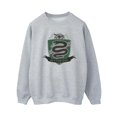thumbnail image 1 of Harry Potter Womens Slytherin Chest Badge Sweatshirt, 1 of 3