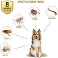 thumbnail image 2 of Collar antipulgas para perros Paquete de 2 Collares naturales contra pulgas y garrapatas para perros Collares para cachorros de prevención de 8 meses Collares grandes ajustables de 24 pulgad, 2 of 5