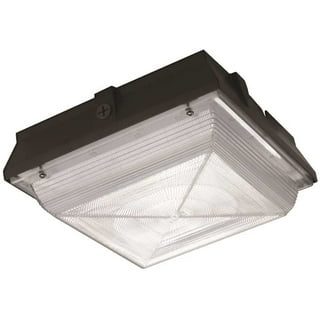 Electric outdoor security lights discount