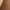 Khaki, variant on Crop Tank Tops Womens Ribbed Knit Slim Fit Summer Tanks Blouses Solid Color Sleeveless Crew Neck Tees (S, White)