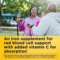 thumbnail image 5 of Nature Made Iron 18 mg per Serving with Vitamin C Gummies, Dietary Supplement, 70 Count, 5 of 11