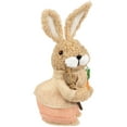 thumbnail image 4 of Northlight Plush Boy Easter Rabbit Figurine with Carrots - 11", 4 of 6