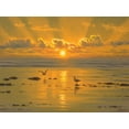 thumbnail image 2 of Adamov, Alexey 24x19 Gold Ornate Wood Framed with Double Matting Museum Art Print Titled - Sunset over the  Sea with Seagulls III, 2 of 4