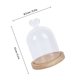 thumbnail image 5 of unbranded Flower Glass Cover Transparente Con Base De Madera Para Exhibición Y Floral, 5 of 6