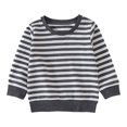thumbnail image 1 of PatPat Baby Boy/Girl Solid/Striped Crewneck Long-sleeve Pullover Sweatshirt, 1 of 6