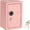 New Pink Password Penny Bank, variant on Heavy duty double key safe box dual lock security portable floor or desktop vault for home office and commercial use