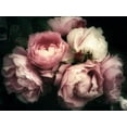 thumbnail image 2 of Art.com Beautiful Bouquet of Pink Rose Flowers on a Dark Background, Soft and Romantic Vintage Filter, Look Photographic Print, 32" x 24", 2 of 4