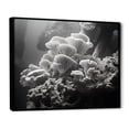 thumbnail image 2 of Designart "Monochrome Anemone Reef I" Coastal Coral Under Water Floater Framed Wall Art Living Room, 2 of 5