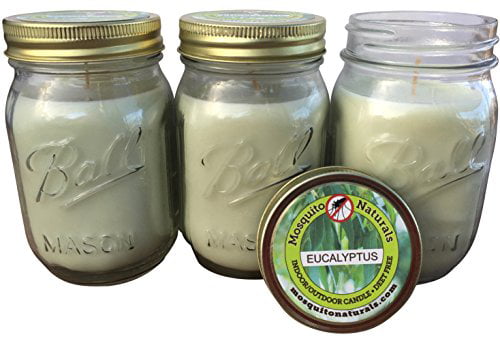 200hr CITRONELLA & WHITE CHERRY BLOSSOMS UPLIFTING Scent CANDLE MOZZIE REPELLENT 