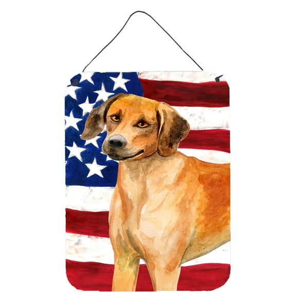 Carolines Treasures BB9676DS1216 Rhodesian Ridgeback Patriotic Wall or Door Hanging Prints 12WX16H multicolor