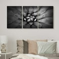thumbnail image 2 of PixonSign Canvas Print Wall Art Set Blooming Echeveria Cactus Floral Wilderness Photography Realism Southwest Closeup Colorful Dark Black and White for Living Room, Bedroom, Office - 24"x36"x3, 2 of 4