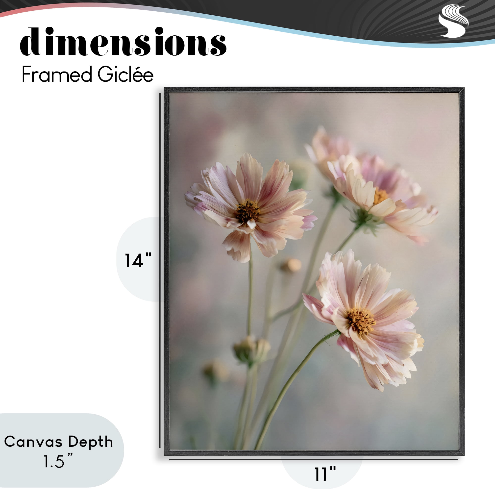 Stupell Industries Pink Daisies Close Up Black Framed Giclee Art, design by Franklyn Gregory