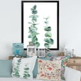 thumbnail image 3 of Designart 'Green Eucalyptus Branch' Tropical Framed Art Print, 3 of 4