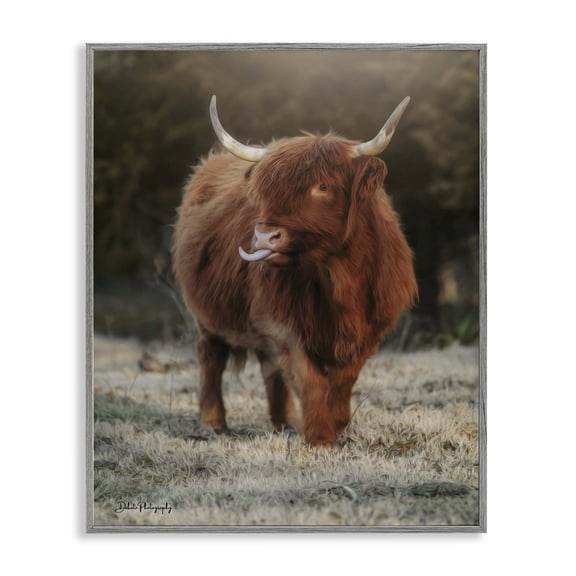 Stupell Industries Rustic Lodge Highland Cattle Farmhouse Country Animal Gray Framed Giclee Art, 16 x 20, by Dakota Diener