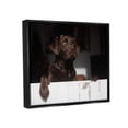 thumbnail image 3 of Stupell Industries Labrador Dog Overlooking Farm Leaning Barn Door Photograph Jet Black Floating Framed Canvas Print Wall Art, Design by James Dobson, 3 of 5