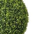 thumbnail image 5 of Vickerman 24" Artificial Potted Green Boxwood Ball., 5 of 8
