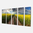 thumbnail image 2 of Sunset over Canola Panorama - Landscape Canvas Art Print, 2 of 3