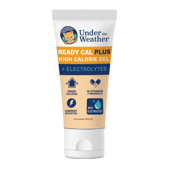 Ready Cal PLUS Electrolytes for Cats