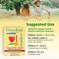 thumbnail image 3 of ChildLife | Omega-3 DHA y colina,  gomitas masticables, sabor a Maracuyá, cont. 27 gomitas, 3 of 4