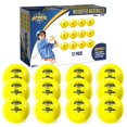 thumbnail image 1 of Pelotas de béisbol con peso Anywhere Sports de 2,85" de diámetro, 454 g, 1 of 8
