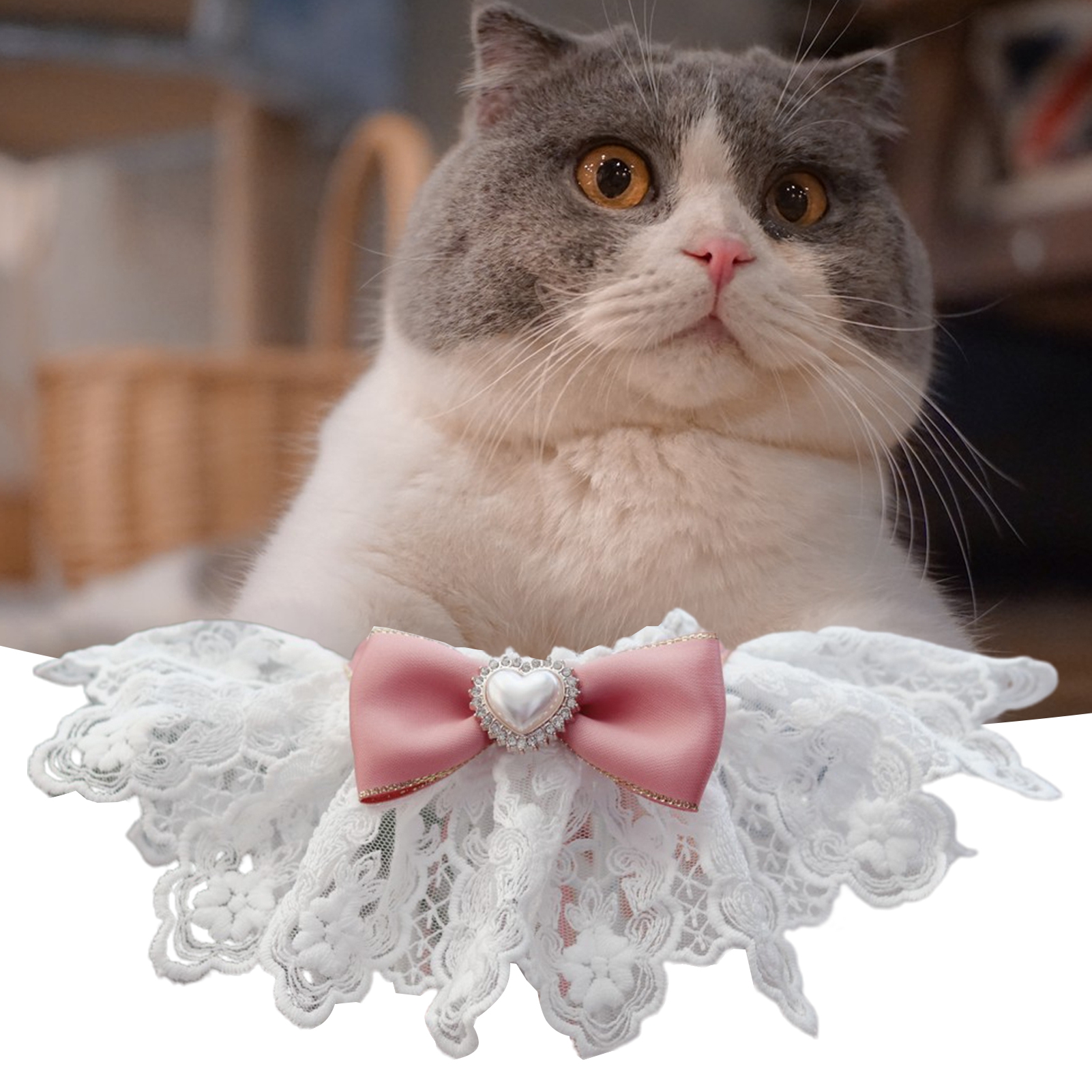 Pet Collar Hollowed Lace Bowknot Faux Pearl Rhinestone Decor Dress Up Breathable Cat Dog Scarf Bib Necklace Photo Props Chihuahua Yorkie Clothes Accessories