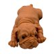 thumbnail image 1 of Juguete Para Apretar Perros, Juguetes Sensoriales Novedosos, Juguetes Antiansiedad Para Niños, Adultos, Autismo seitruly FN007639-02, 1 of 6