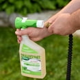 thumbnail image 3 of Scotts Liquid Turf Builder Starter Fertilizer 7-12-15 946ML/55m2, 3 of 5