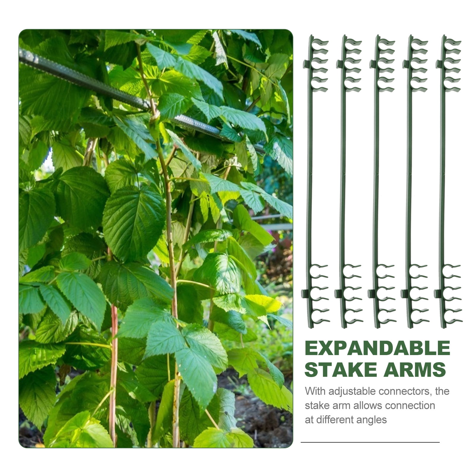 LOLIPPYY Green Tree Plant Support Rod Trellis, 50Pcs Plastic Garden Stakes for Climbing Plants and Vines