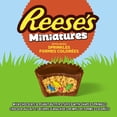 thumbnail image 2 of REESE’S Miniatures with Sprinkles, 200g, 2 of 10