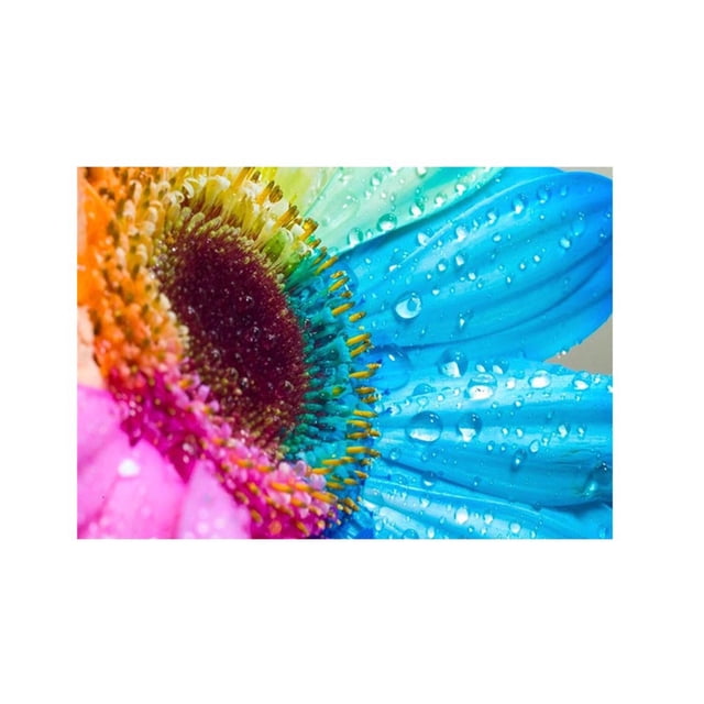 Conjunto de pintura de diamante 5D de corazón de flores, kit de manualidades con imagen de diamantes de imitación, decoración de punto de cruz DIY kenally HA5462-00B