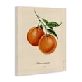 thumbnail image 2 of Stupell Industries Cottage Orange Fruit Portrait Canvas Art, 16 x 20, by Danielle Murray, 2 of 8