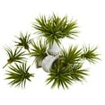 thumbnail image 2 of Nearly Natural 6111-S12 Mini Spiky Agave Succulent Plant - Set of 12, 2 of 2