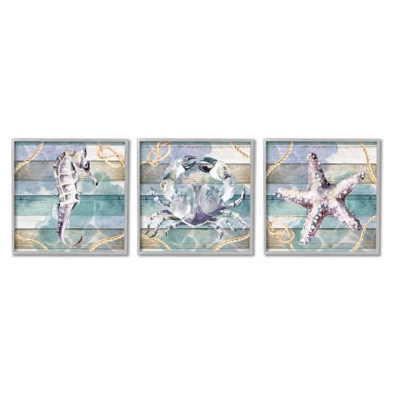 Stupell Industries Sea Life Plank Pattern Animals & Insects Painting Gray Framed Art Print Wall Art, 17 x 17, Set of 3